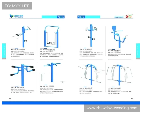 健身器材选择系统的构建及其在健身房采购中的应用 健身器材选择系统的构建及其在健身房采购中的应用
