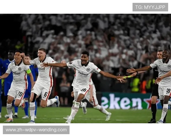 德甲球队的命运怎么样：德甲球队赛季命运分析与各队前景 (2)